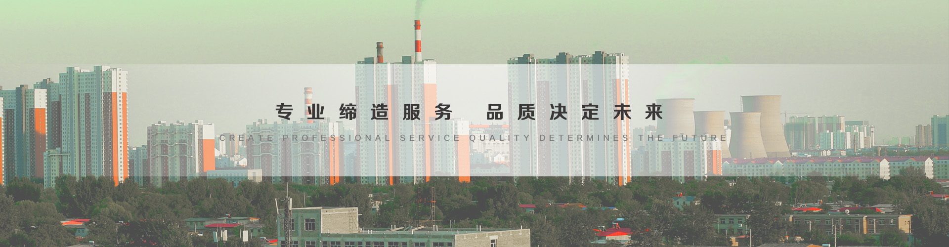 樟树3